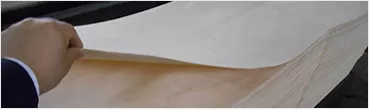 Short-cycle hot-press veneering PG85HV Short-cycle hot-press veneering PG85HV