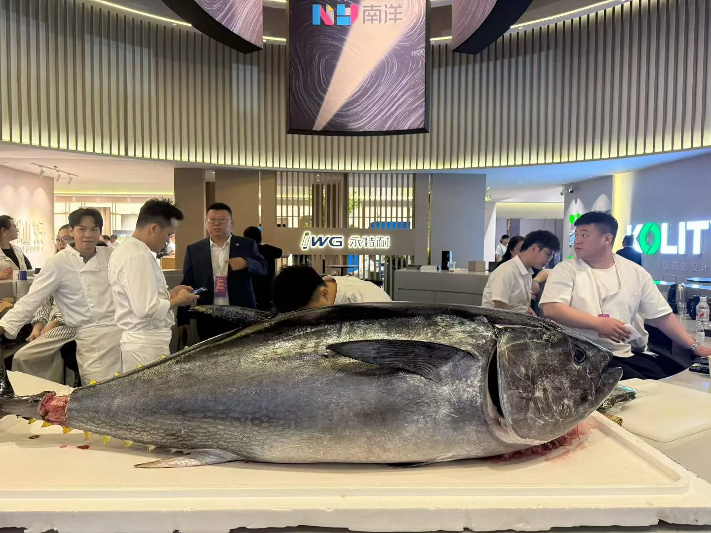 双展同辉 大展胶点|IWG永特耐携硬核PUR重磅亮相两大行业盛会 双展同辉 大展胶点|IWG永特耐携硬核PUR重磅亮相两大行业盛会